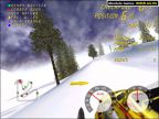 Ski-Doo Team Racing